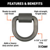 CURT 83760 Forged D-Ring/Brackets