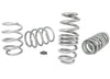 For 2017-2024 Audi Coil Spring Lowering Kit