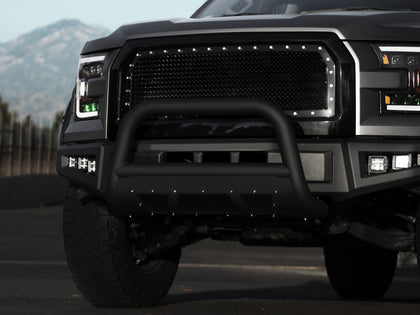 For 1997-2003 Ford F-150 MS Bull Bar - Matte Black