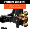 CURT 23556 Hitch And Coupler Locks