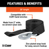CURT 29451 Winch Strap