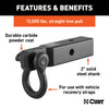 CURT 45832 D-Ring Shackle Mount