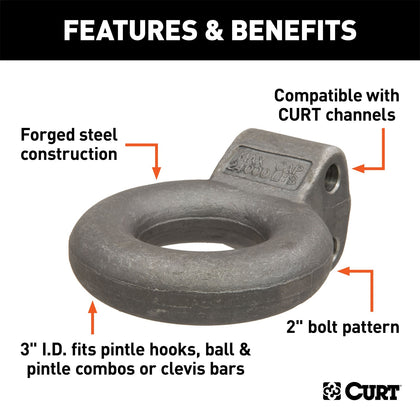 CURT 48660 Adjustable Eye Kit