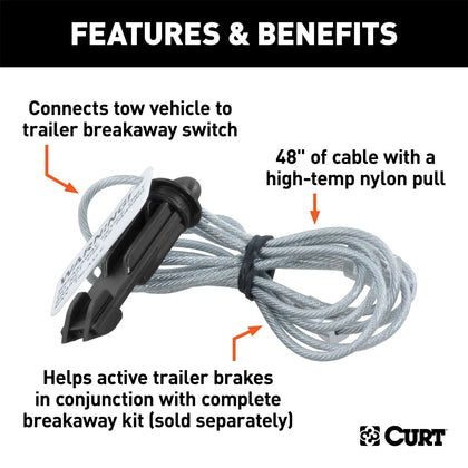 CURT 52020 Lanyard