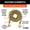 CURT 80306 Transport Binder Safety Chain Assembly