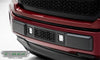 T-Rex Grilles Z425711 ZROADZ Series LED Bumper Grille Fits 18-20 F-150